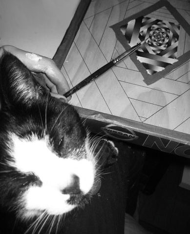 Studio Assistant (Roo)