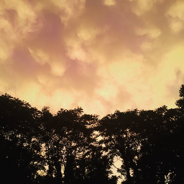 Annette Nichols, Orange Sky, 2015, digital photograph