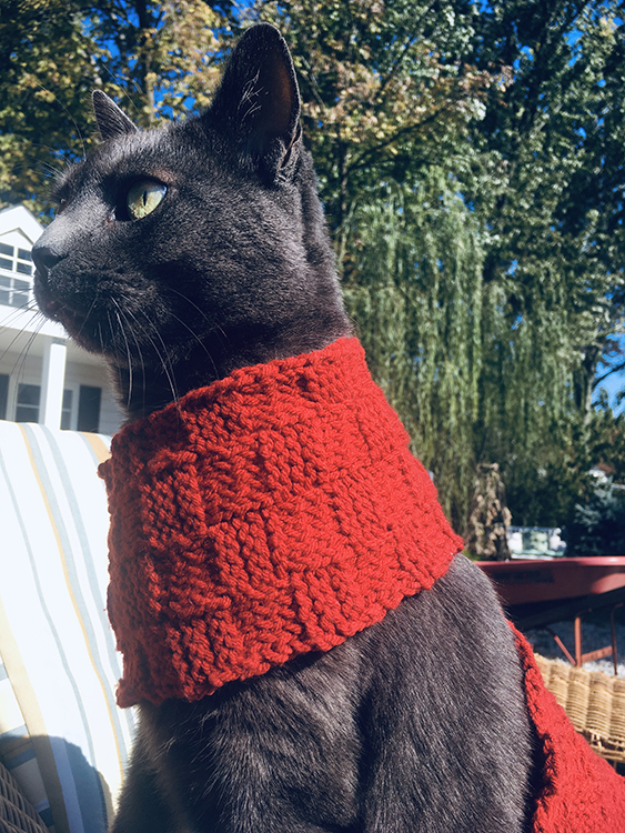 Annette Nichols, Annette's Knitts Scarf Modeled by Donovan, 2023